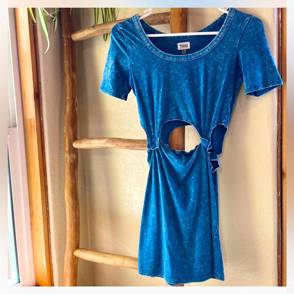 Tobi Dress